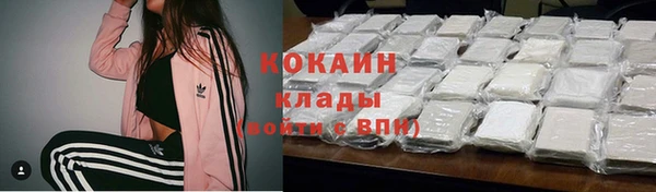 твердый Алзамай