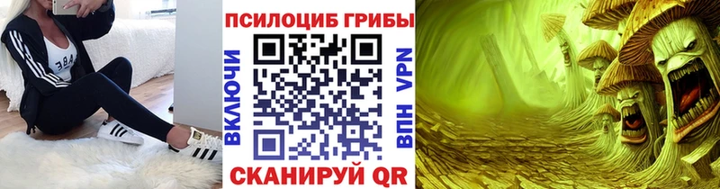 площадка как зайти  Порхов  Псилоцибиновые грибы мухоморы 